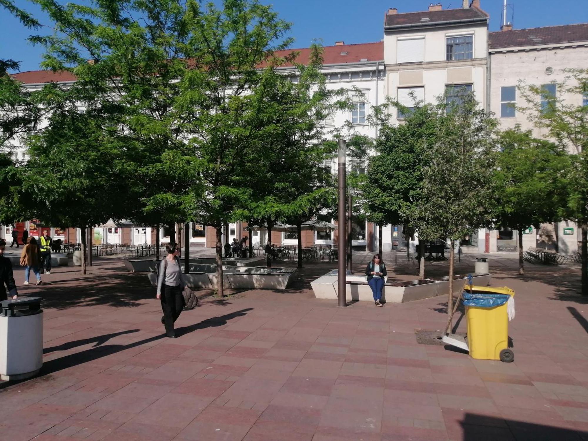 Apartament Stradivari *